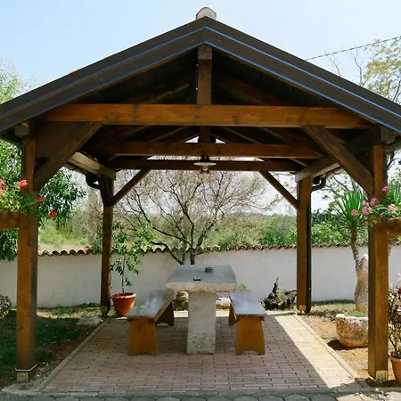 Forest Retreat