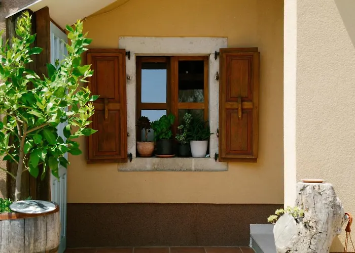 Forest Retreat 아파트