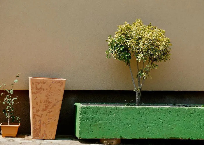 Forest Retreat 포레치